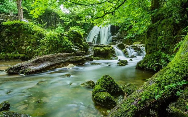 智能高端智慧